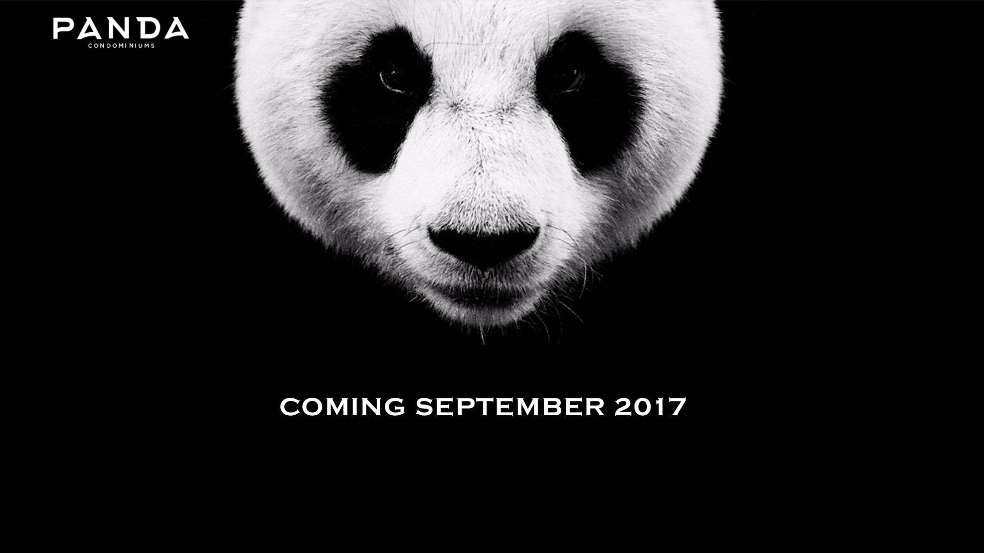 Panda Condos Toronto